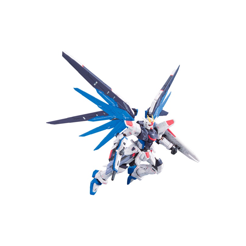 반다이 모빌 슈트 건담 SEED RG 프리덤 건담 모델 - Bandai Model Gundam Rg 리뷰 및 가격